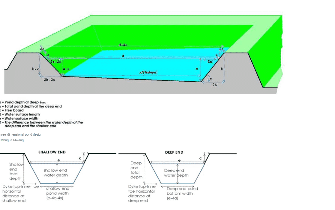 How to Construct a Semiintensive Pond for Aquaculture The Fish Site